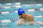 Swimming & Diving vs RWU  Swimming & Diving vs Roger Williams University. - Photo by Keith Nordstrom : Wheaton, Swimming